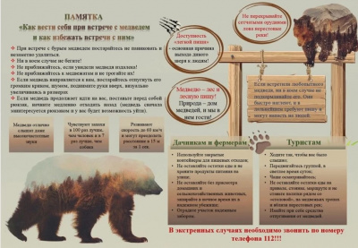 Минприроды РА напоминает о правилах безопасности при встрече с медведем
