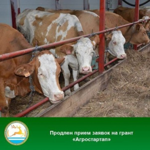 ОБЪЯВЛЕНИЕ О ПРОВЕДЕНИИ ОТБОРА ПО ПРЕДОСТАВЛЕНИЮ ГРАНТОВ В ФОРМЕ СУБСИДИЙ «АГРОСТАРТАП» В 2023 ГОДУ